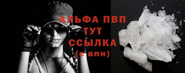 винт Аркадак