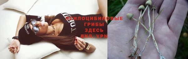 ECSTASY Армянск