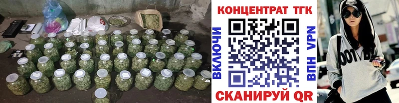 купить   Буй  ТГК концентрат 